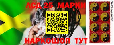 кокс Донской