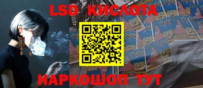 кокс Донской