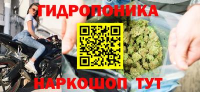 кокс Донской