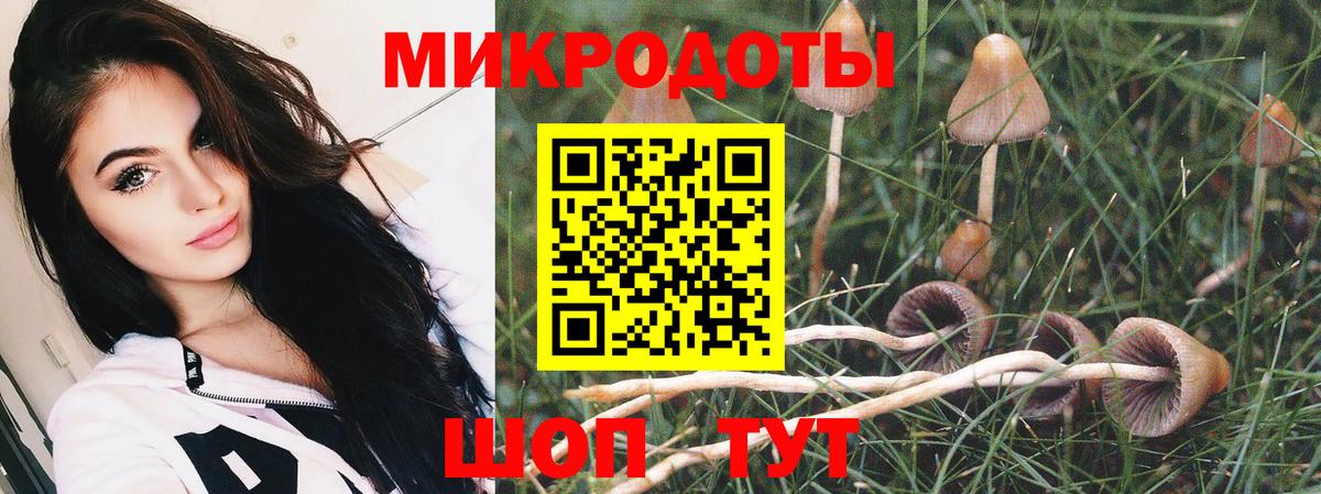 Псилоцибиновые грибы мицелий  где можно купить   Галлюциногенные грибы GOLDEN TEACHER  Михайловка  Вход с VPN 