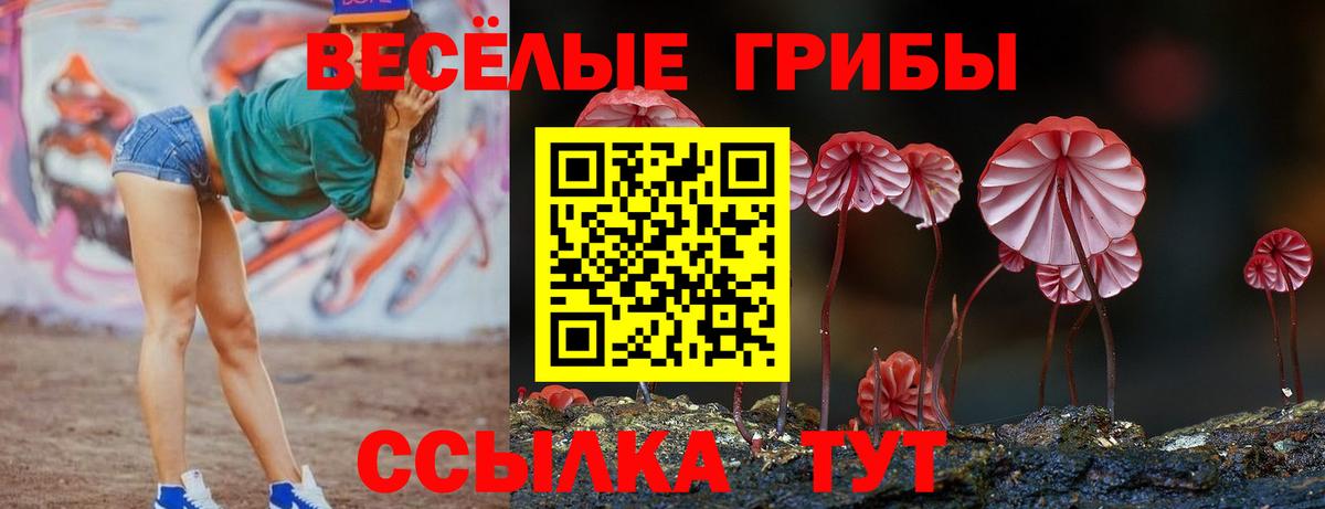 Псилоцибиновые грибы MAGIC MUSHROOMS Михайловка